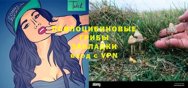 стафф Нягань