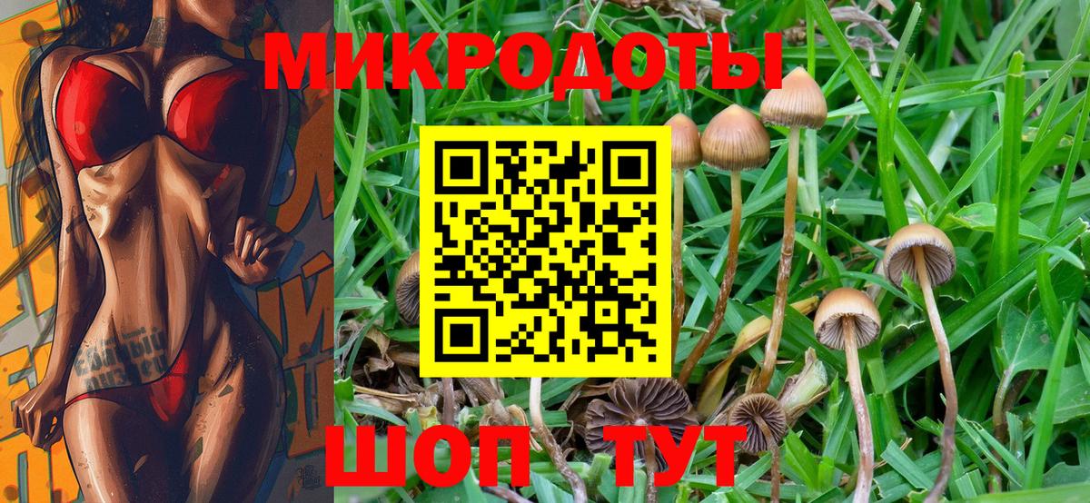 Псилоцибиновые грибы Psilocybe Шадринск