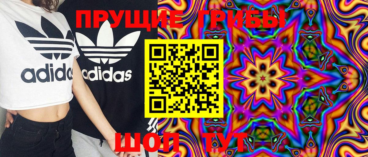 Псилоцибиновые грибы GOLDEN TEACHER  Псилоцибиновые грибы MAGIC MUSHROOMS  Вход с VPN  Шадринск 
